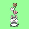 Siberian Husky dog Ã¢â¬â¹Ã¢â¬â¹wants donuts